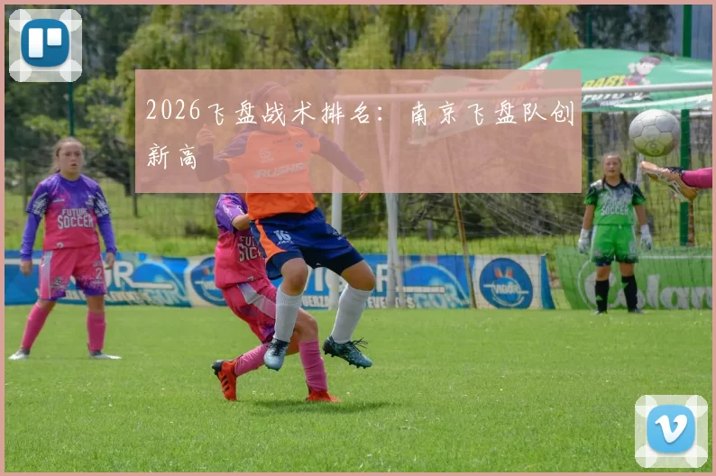 2026飞盘战术排名：南京飞盘队创新高