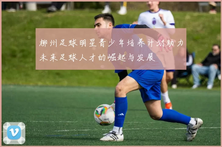 柳州足球明星青少年培养计划助力未来足球人才的崛起与发展