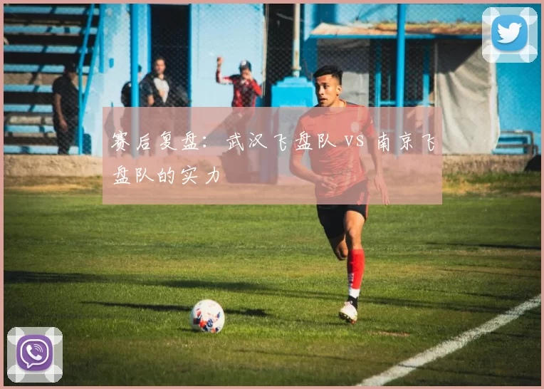 赛后复盘：武汉飞盘队 vs 南京飞盘队的实力