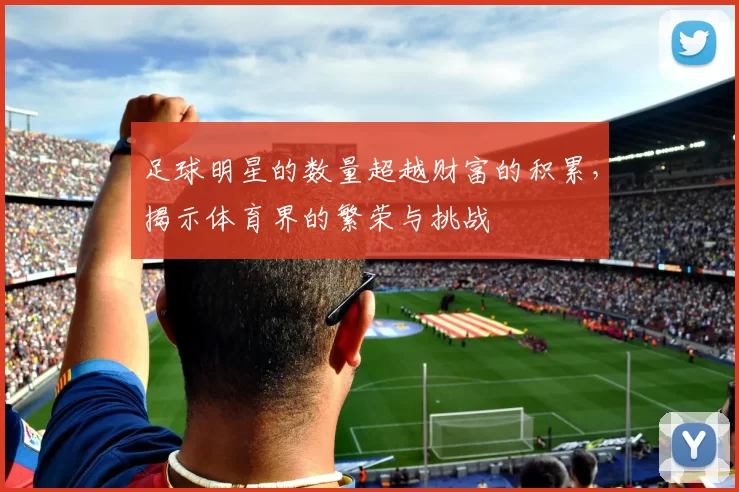 足球明星的数量超越财富的积累，揭示体育界的繁荣与挑战