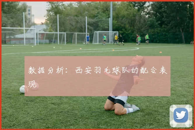 数据分析：西安羽毛球队的配合表现